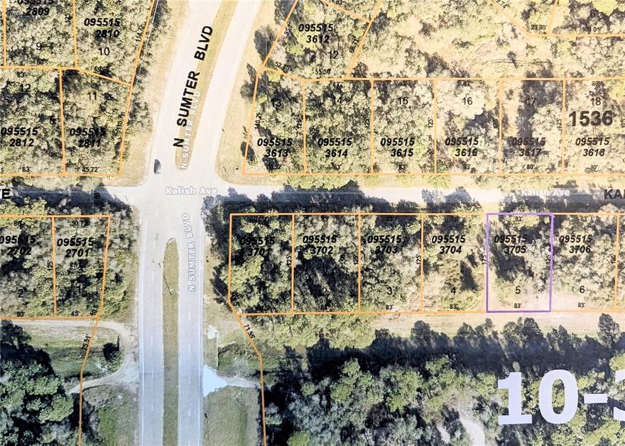 1 OF 4 ADJOINING LOTS in NORTH PORT, "THE FASTEST GROWING CITY IN FLORIDA!" There are so many advantages of this special opportunity. 1- If you bought all 4 together, you could combine the middle 2 lots to allow for a bigger home (won't need to worry about setbacks so much) & keep your privacy with an uncleared lot on either side of the home; 2- Do the same with combining only 2 lots- either build larger home with the setback worries or build small & leave 1/2 of each lot uncleared for privacy; 3- Buy 1 or all & build 1 home on each lot- then resell for top $, these homes sell for an average of 400K; 4- do nothing with them & watch the value rise- it's inevitable (only so much supply in high demand). There is 1 home on Kalish Ave, so electric won't cost very much to get to your lot(s) because it's just at the end of the block. There is a drainage easement running parallel to lot 5, and behind all lots. This creates a wide separation, for privacy. There are "FOR SALE" signs on all 4 lots, so it is easy to see where they are. Info tubes with listing printout/info are attached to each sign well. There are a total of 4 adjoining lots for sale, Lots 5-8. Easy access I75.