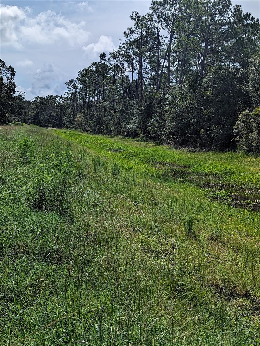 PORT CHARLOTTE SUB 31 - Land