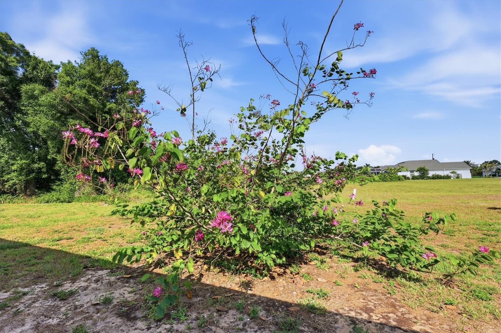 PUNTA GORDA ISLES SEC 20 - Residential