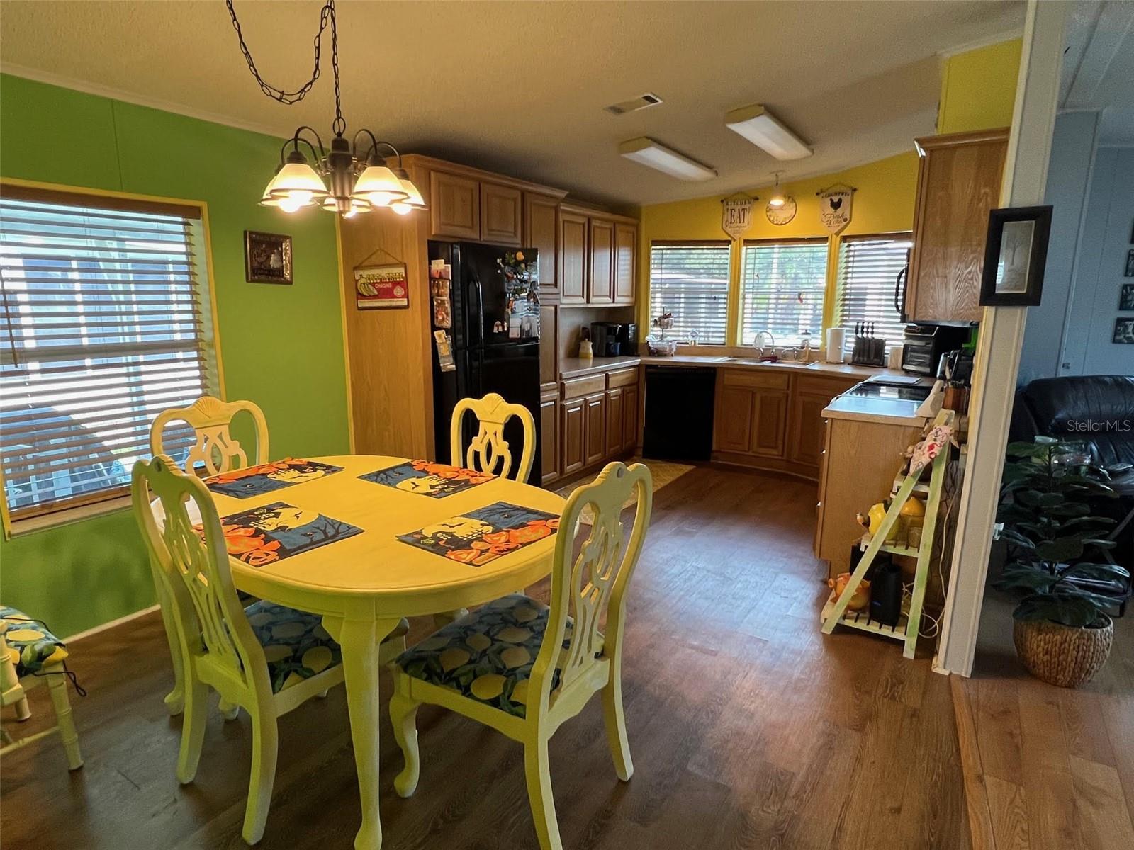 PARADISE ISLAND CO-OP INC - Residential