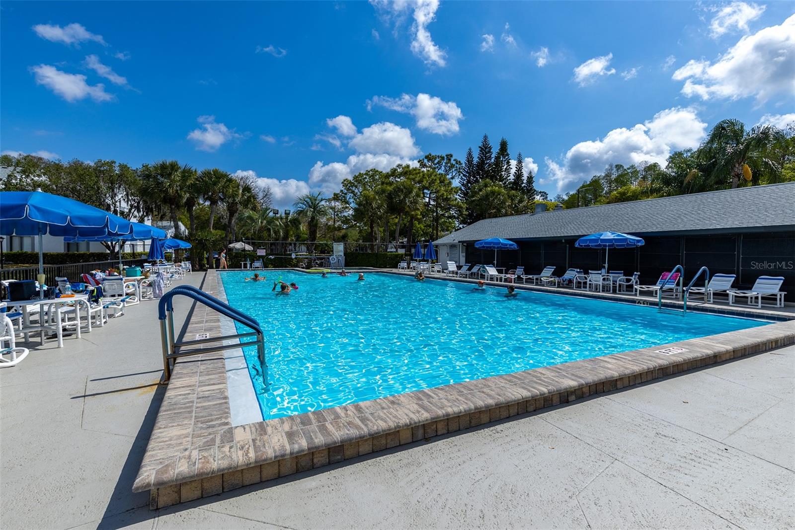 PINE RIDGE AT LAKE TARPON VILLAGE - Residential