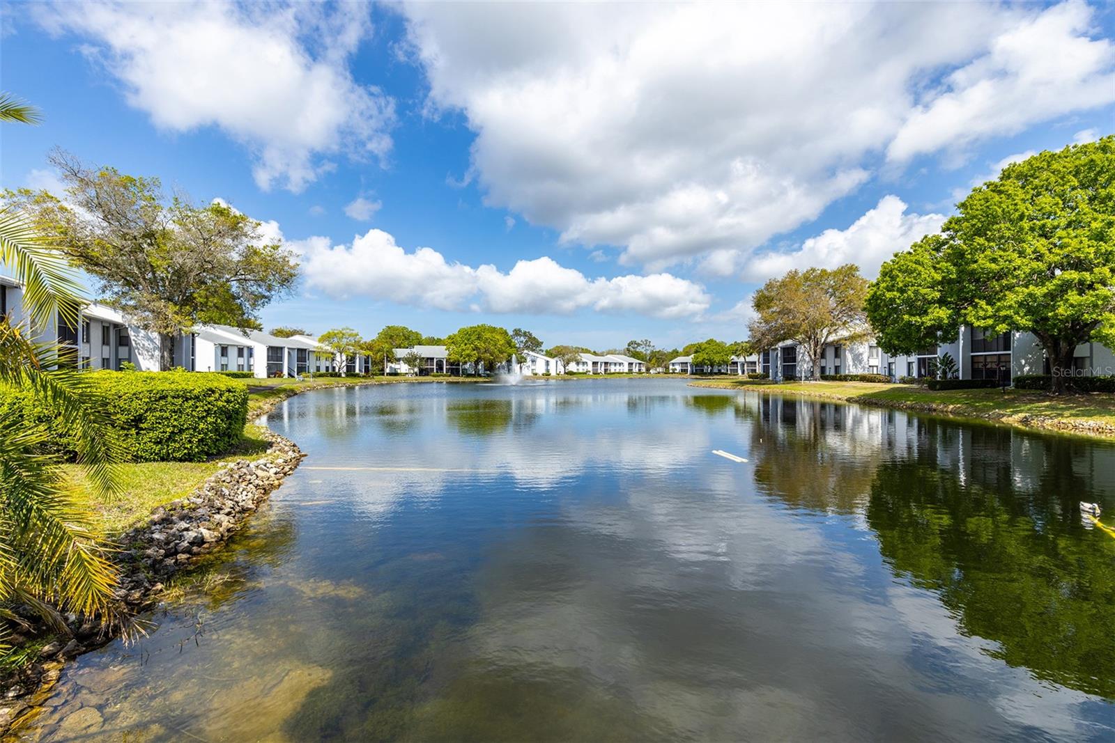 PINE RIDGE AT LAKE TARPON VILLAGE - Residential