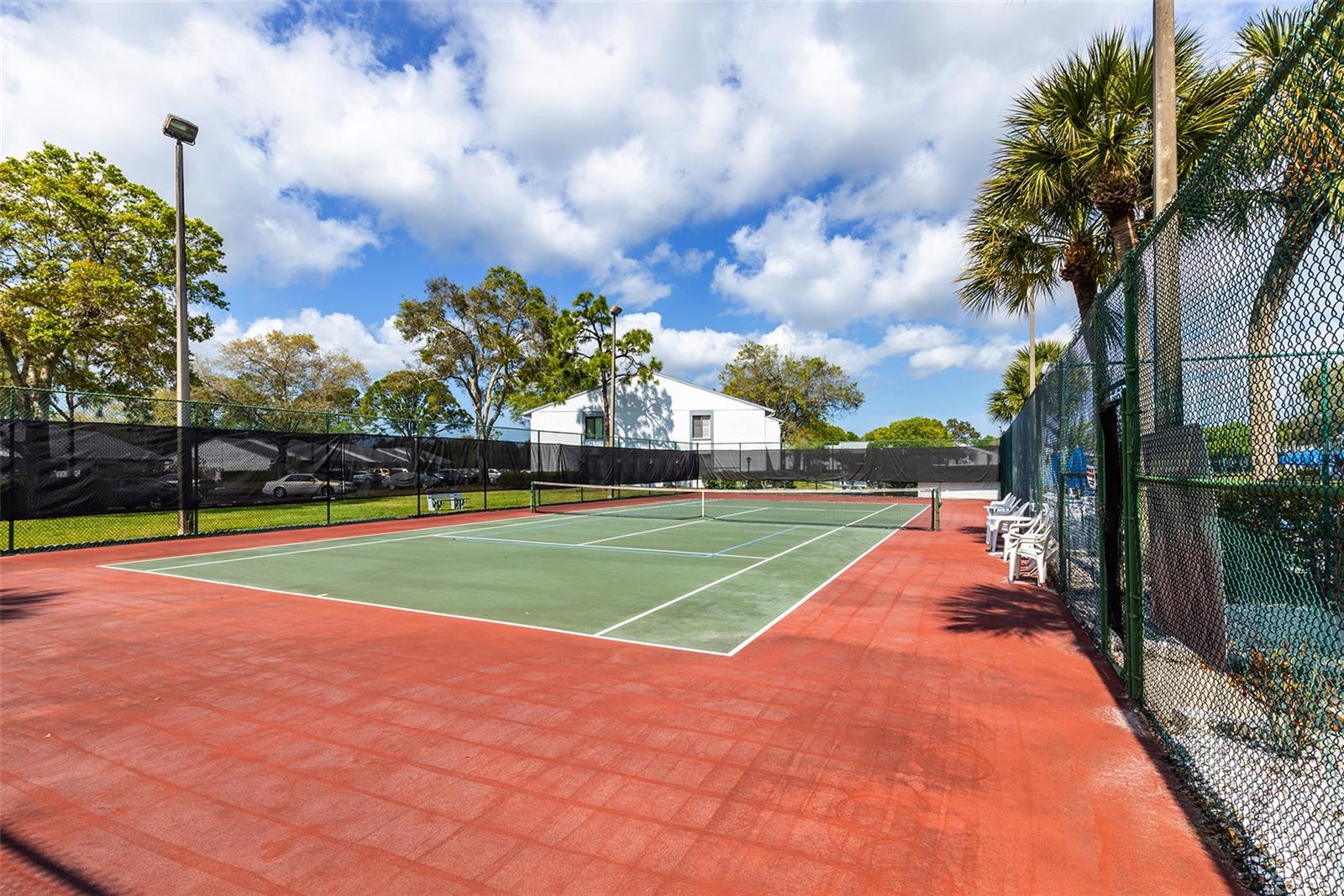 PINE RIDGE AT LAKE TARPON VILLAGE - Residential