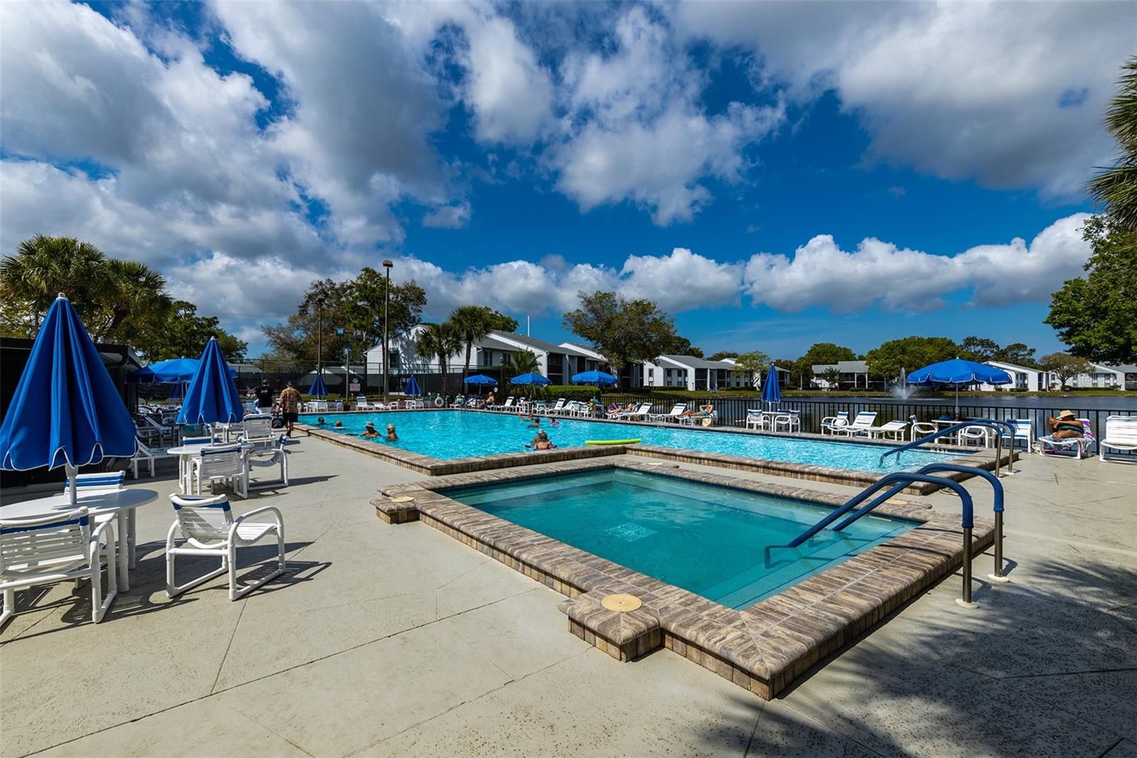PINE RIDGE AT LAKE TARPON VILLAGE - Residential