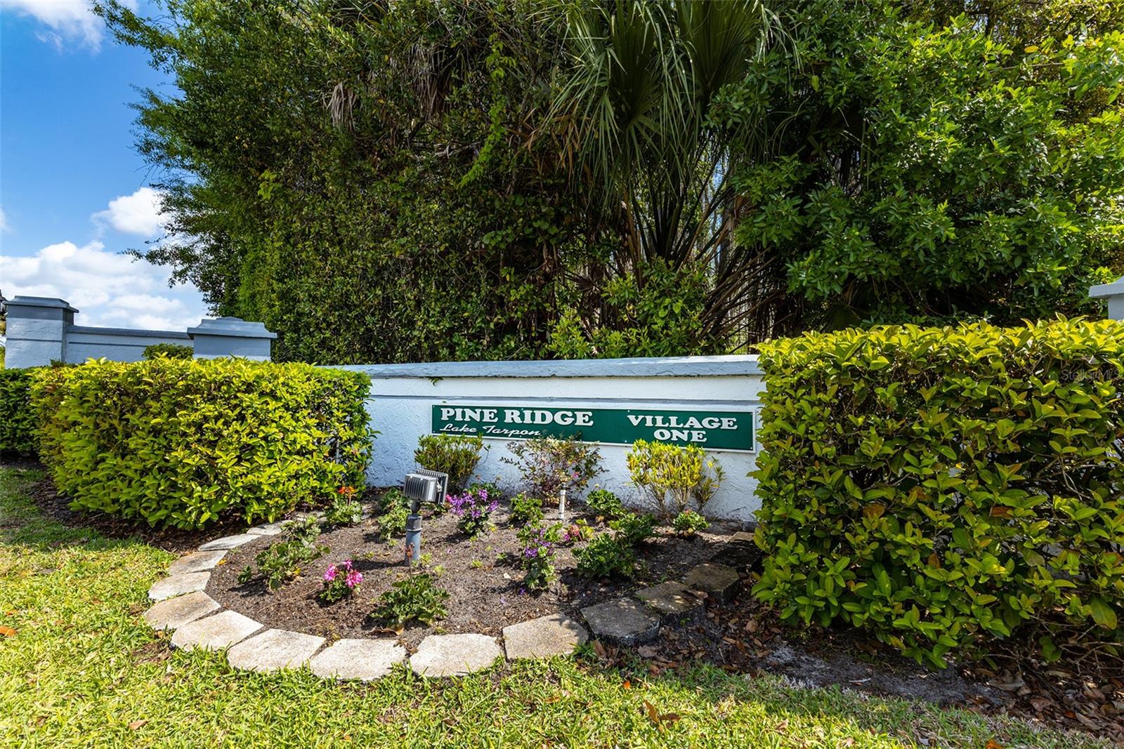 PINE RIDGE AT LAKE TARPON VILLAGE - Residential