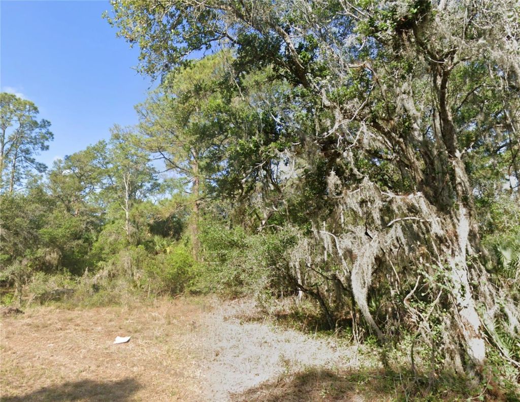 Photo of 1113 Sherwin Street, Port Charlotte, FL 33953 (MLS # D6142875)