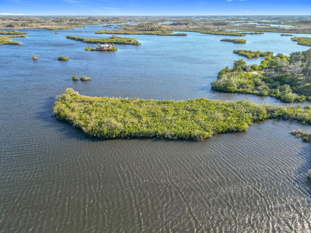 Photo of 14101 W St Martins Road, Crystal River, FL 34429 (MLS # A4644818)