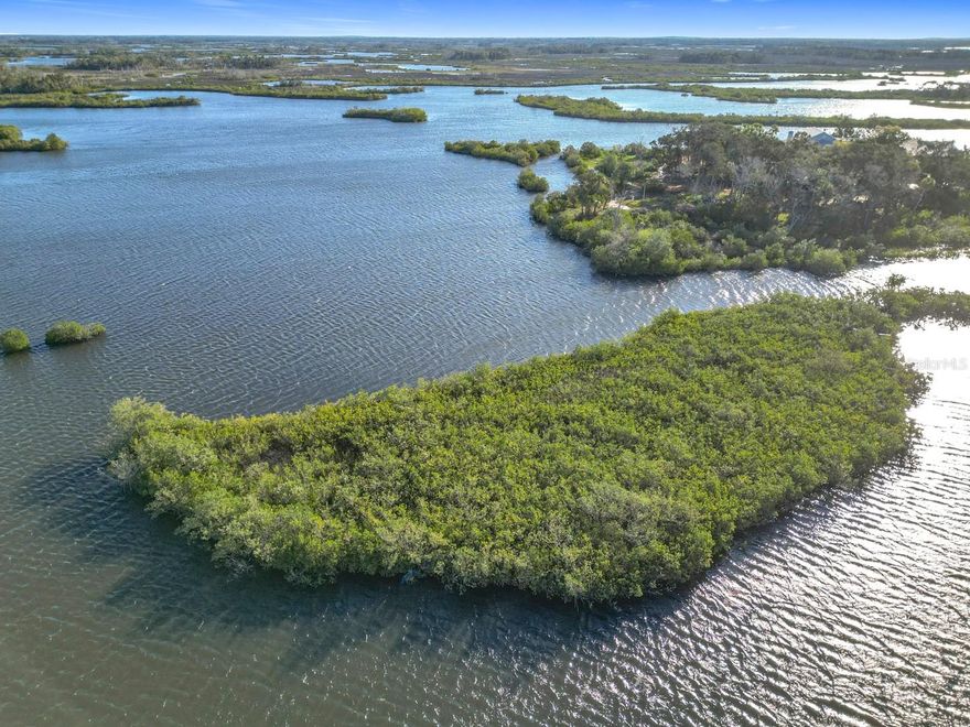 SELLER FINANCING AVAILABLE*NO CREDIT CHECK*WATERFRONT PARADISE AWAITS YOU*DISCOVER THE ULTIMATE WATERFRONT HAVEN WITH OVER 1,000 FEET OF PRISTINE WATERFRONT OFFERING STUNNING SUNSETS AND THE SERENITY OF WILDLIFE. THIS 1.61-ACRE GEM IS WATERFRONT ON 3 SIDES*NESTLED IN THE TRANQUIL OZELLO KEYS, PROVIDING UNPARALLELED PRIVACY AND SECLUSION*BUILD YOUR DREAM ESTATE*POSSIBLITIES ARE ENDLESS-SURROUNDING PROPERTIES ARE ESTATE HOMES, A BED & BREAKFAST & AIRBNB/VRBO HOMES*PUBLIC UTILITIES AVAILABLE*ACCESS TO THE GULF OF MEXICO, ON BLACK CREEK IS FRESH WATER, LEADING TO SAINT MARTINS RIVER, HOMOSASSA BAY OR UP THE INTERCOASTAL WATERWAY TO CRYSTAL RIVER NATURAL FRESHWATER SPRINGS & ESTUARY-KINGS BAY-FORT ISLAND BEACH-HUNTER SPRINGS-THREE SISTERS SPRINGS WITH CRYSTAL CLEAR WATERS TO SWIM WITH THE MANATEES*LOT HAS 200’ ROAD FRONTAGE*NO HOA*LIVE THE SALT LIFE ON FLORIDA’S NATURE COAST*SURROUNDED BY OVER 25,000 ACRES OF AQUATIC PRESERVE TO EXPLORE, A NATURE LOVERS DREAM*OZELLO KEYS IS A GOLF CART FRIENDLY AREA FEATURES OZELLO COMMUNITY PARK, WITH SANDY BEACH & BOAT RAMP, POPULAR RESTAURANTS-BACKWATER FINS, ISLAND OUTPOST BAR/GRILL & THE FAMOUS PECK'S OLD PORT COVE SEAFOOD RESTAURANT*MINUTES AWAY TO LOCAL RESTAURANTS/DOWNTOWN SHOPPING/ENTERTAINMENT/LOCAL AIRPORT*OZELLE KEYS ARE A STRING OF ISLANDS-INLETS-PENINSULAS THAT OFFER PRIVACY AND SECLUSION WITH OPTIMAL WATER LIFE INCLUDING YEAR-ROUND FISHING, KAYAKING, DOLPHIN-WATCHING & THE BEST BIRD WATCHING*ONLY 1 HOUR TO TAMPA INTERNATIONAL AIRPORT, 2 HOURS TO ORLANDO INTERNATIONAL AIRPORT*OWNER/BROKER