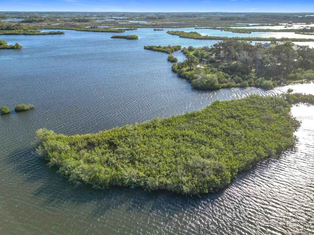 Photo of 14101 W St Martins Road, Crystal River, FL 34429 (MLS # A4644818)