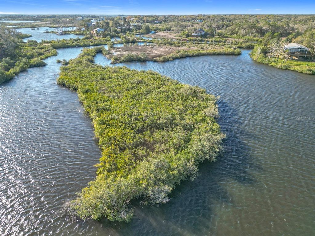 Photo of 14101 W St Martins Road, Crystal River, FL 34429 (MLS # A4644818)