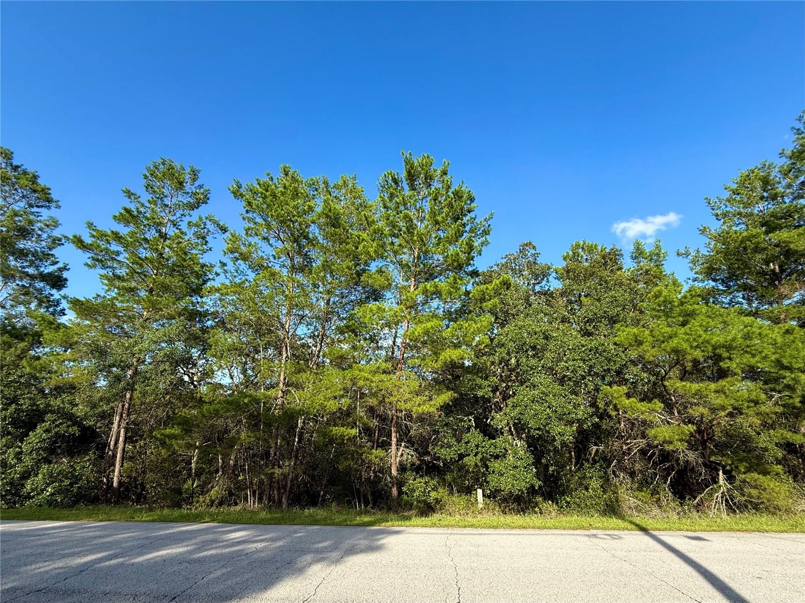 One-acre parcel of land for sale in Royal Trails Subdivision, this unique one-acre parcel offers the perfect blend of privacy, freedom, and community living—backing up to 80 acres of pristine state land with no rear neighbors, it’s an ideal setting to build your dream home at your own pace, with no time limit and a minimum of just 1,200 square feet. Enjoy deeded access to Lake Norris for outdoor adventures and take advantage of zoning that allows for two horses an acre. Once your home is built, you can park your RV and boat on-site, and for just $92.00 a year, the HOA provides access to a community park, playground, and a covered pavilion with picnic tables. With deed restrictions that prohibit modular, mobile, or manufactured homes, Royal Trails maintains its charm and long-term value—making this parcel a rare opportunity for those seeking space, nature, and a welcoming neighborhood. Fiber Optics available in the Community, No CDD