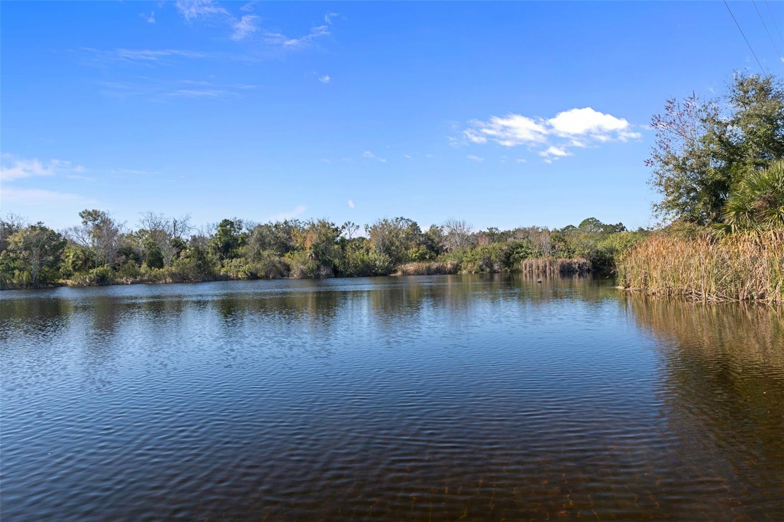 PORT RICHEY LAND CO SUB - Commercial Sale