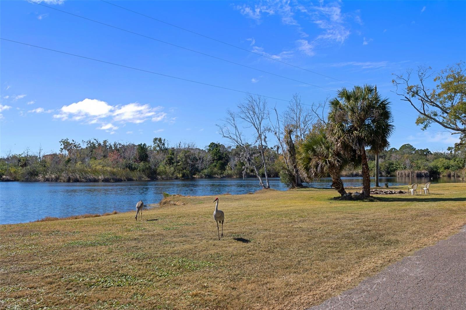 PORT RICHEY LAND CO SUB - Commercial Sale