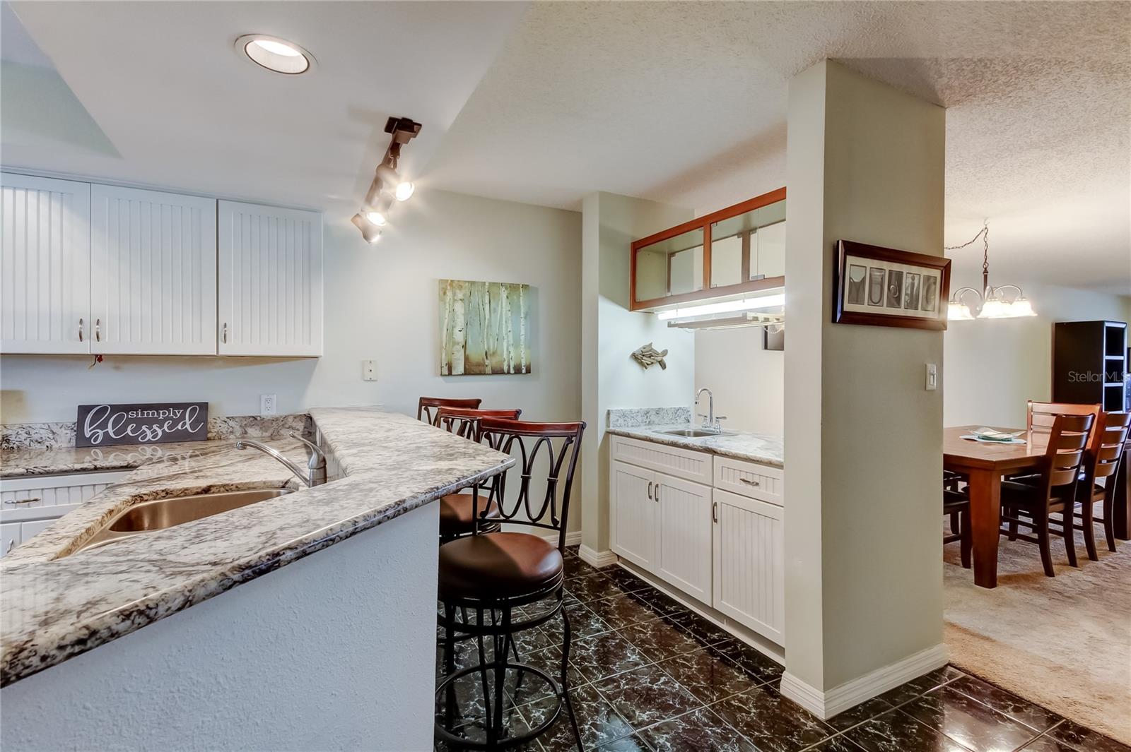 DOLLY BAY A VILLAGE ON LAKE TARPON - Residential