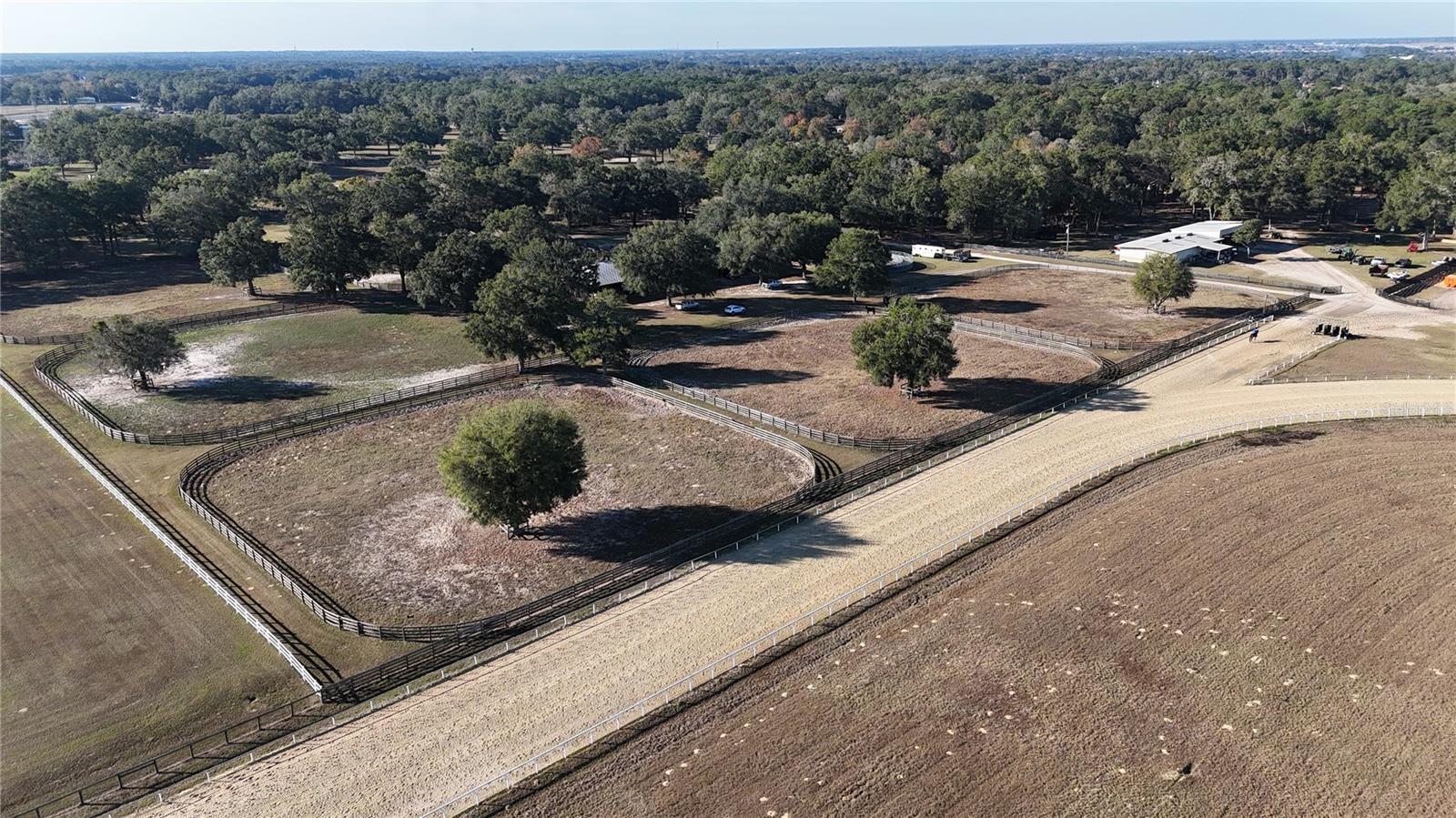 OCALA HORSE COMPLEX - Residential