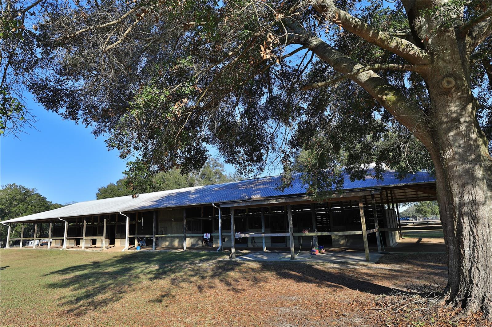 OCALA HORSE COMPLEX - Residential