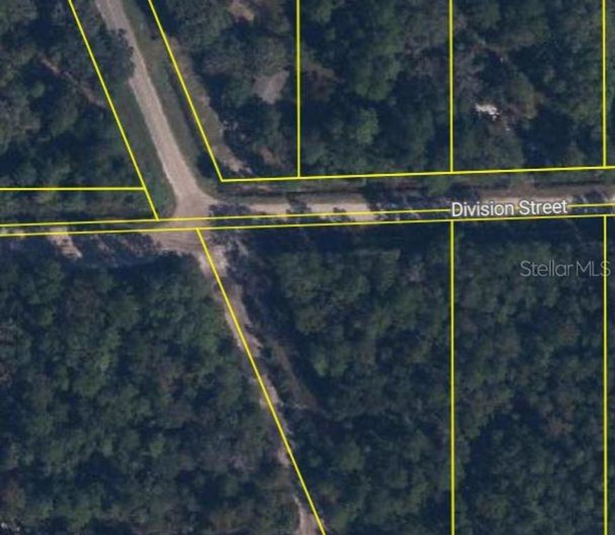 Discover the opportunity to own vacant land in Hastings, Florida. Whether you envision a private retreat or exploring developement possibilities, this property provides flexibility. Buyers are encouraged to consult environmental and building regulations to explore the full potential of this unique proprety.