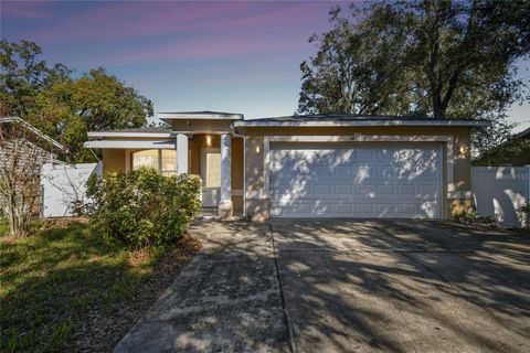 A home in TAMPA