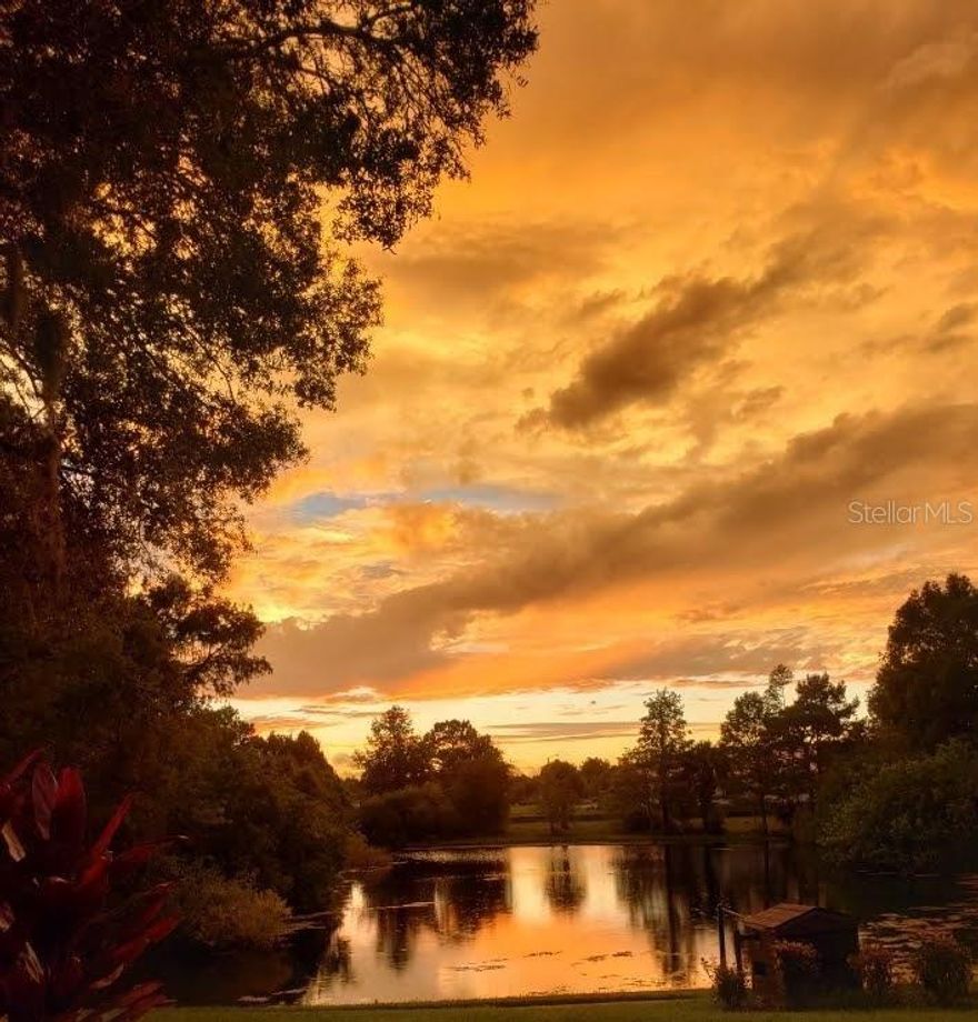 WOW! Totally updated, impeccably maintained SINGLE STORY 55+ condo at Country Oaks with beautiful pond and nature views right outside your back door, and no rear neighbors! The front entrance is through a large, friendly, courtyard. The custom kitchen and bathrooms have been completely remodeled with hardwood cabinetry, soft-close pull-out drawers and doors, granite counter tops, modern appliances and fixtures. The floors in the living room, dining area, kitchen and enclosed Florida room all have wood-look ceramic tile floors, and the bedrooms have luxury vinyl floors. The master bedroom closet has been smartly fitted with a closet organizer and the master bath has a walk-in shower. Nothing has been overlooked in this beautiful condo. There’s even instant hot water thanks to the tankless water heater and the kitchen is fitted with convenient, stylish, stacked laundry machines. The monthly condo fee includes water and sewer utilities, trash service, exterior maintenance & grounds, upgraded cable television, internet service and community pool. You also get use of the recreational facilities at Lakeside Woodlands for a very small annual fee. Country Oaks is one of the few condos in the area which allows cats and small dogs! if you don't like all the traffic and commotion of the larger complexes, Country Oaks would be ideal for you! AND The location is very convenient to HCA Florida Bayonet Point Hospital and other medical facilities, the Hudson Library, Hudson Beach, churches, shopping, restaurants, music venues, etc. Seller is prepared to close and move quickly if needed.