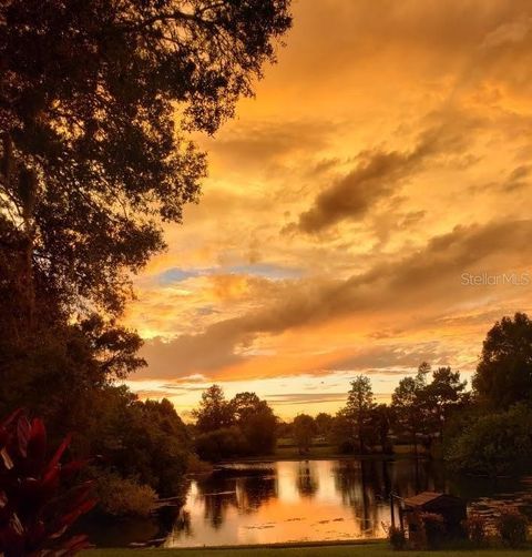 Photo of 7737 Eureka Drive #203, Hudson, FL 34667 (MLS # W7882522)