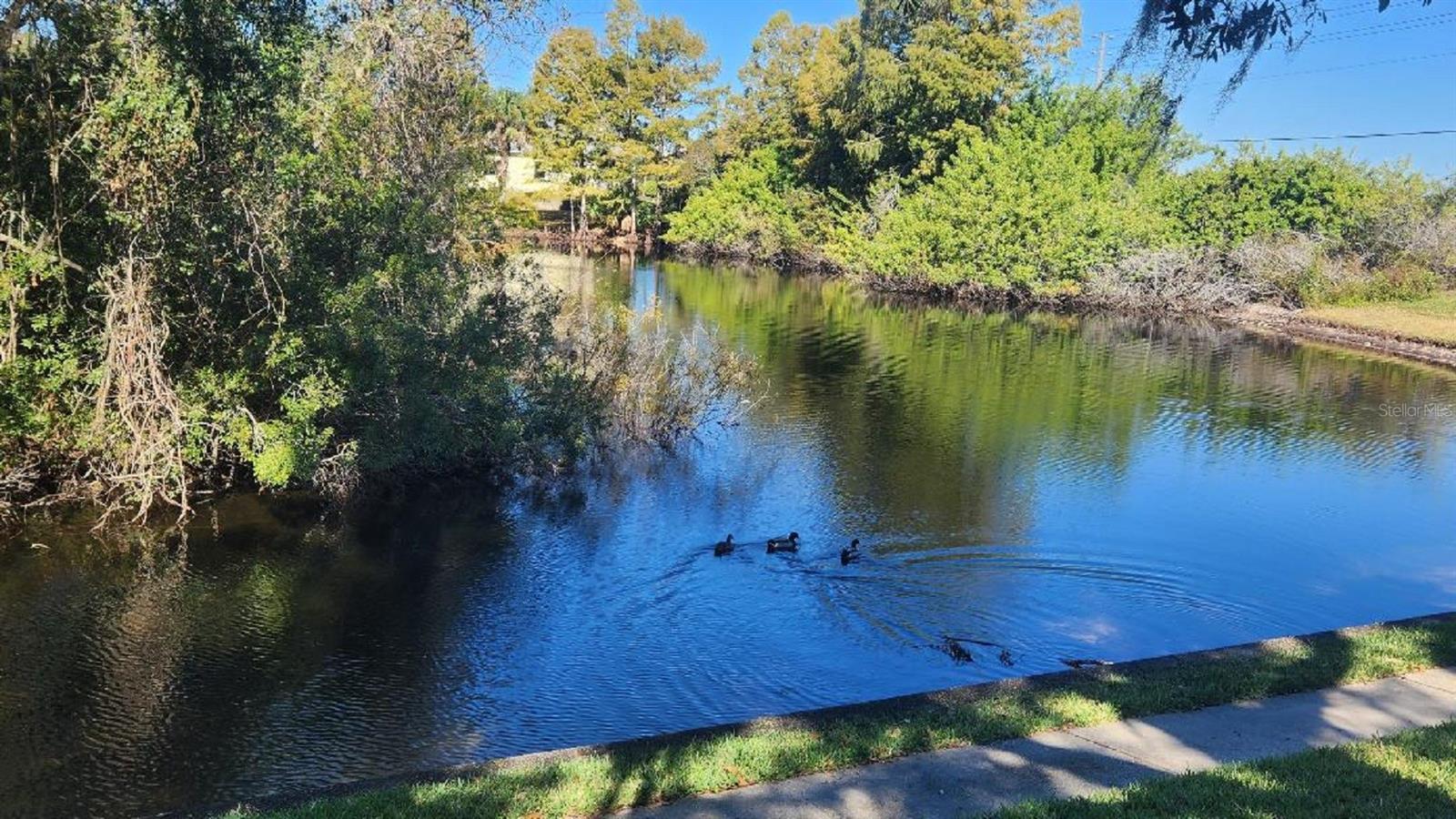 COUNTRY OAKS CONDO 01 - Residential