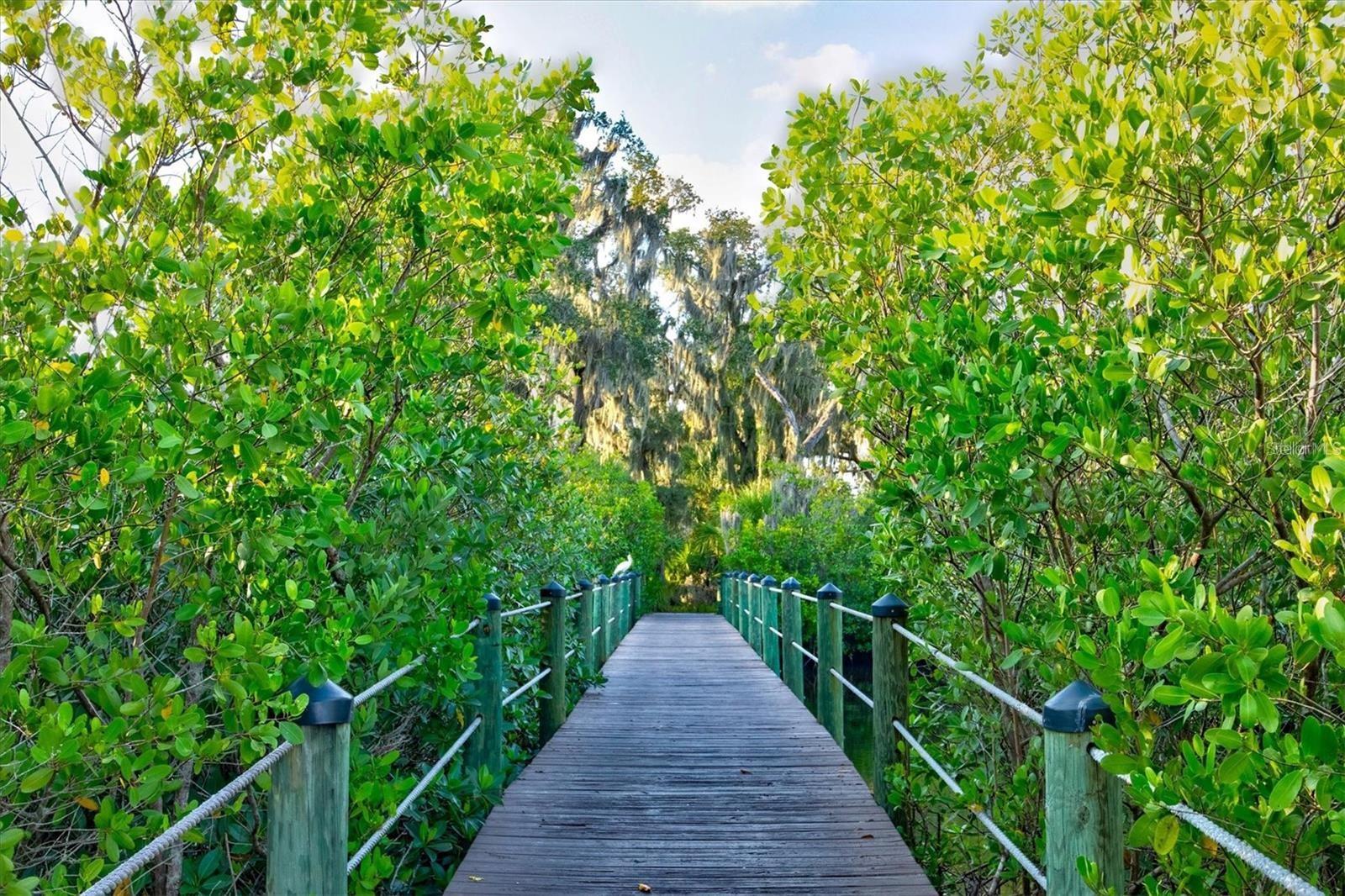 THE INLETS/RIVERDALE REV - Residential