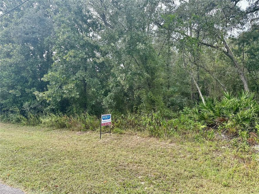 Location, location, location!!! Great lot , high and dry. Beautiful homes all around. Get this pice of paradise and build your dream home!
No Flood Insurance required. Rural setting yet close enough to Spring Hill and Tampa via the Suncoast Hwy. Lots of new construction in the Royal Highlands subdivision, which is not in an HOA. Down the street from Weeki Wachee Springs State Park where you can attend Swampfest or paddle scenic waterways Only 10 minutes to the award-winning World Woods Golf Club by Tom Fazio. 20 minutes to Withlacoochee State Forest which has 2600 acres of ATV riding trails. Royal Highlands is also an easy commute to nearby cities, just over an hour north of Tampa, 1.5 hours west of Orlando. Near shopping, restaurants.