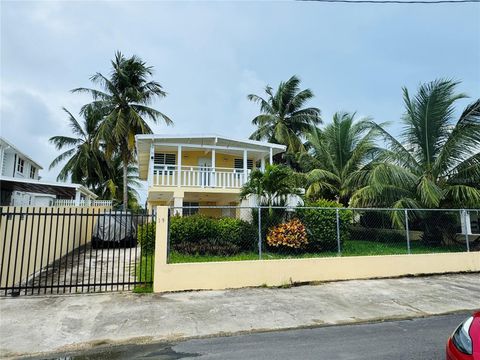 19 BONITO VEGA ALTA  00692