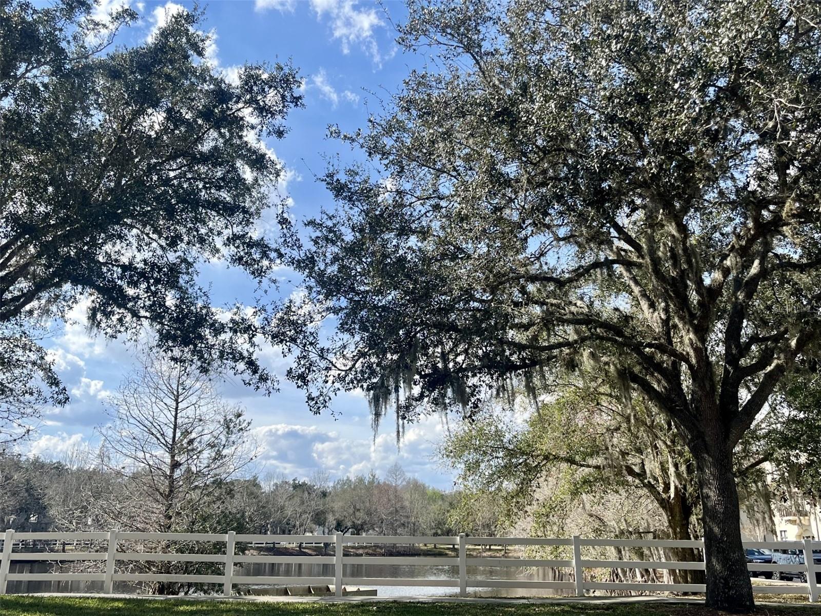 TERRS AT CELEBRATION PH 2 - Residential Lease