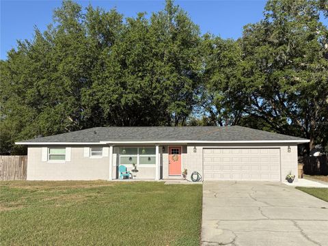 2416 BRIARWOOD LANE EUSTIS FL 32726