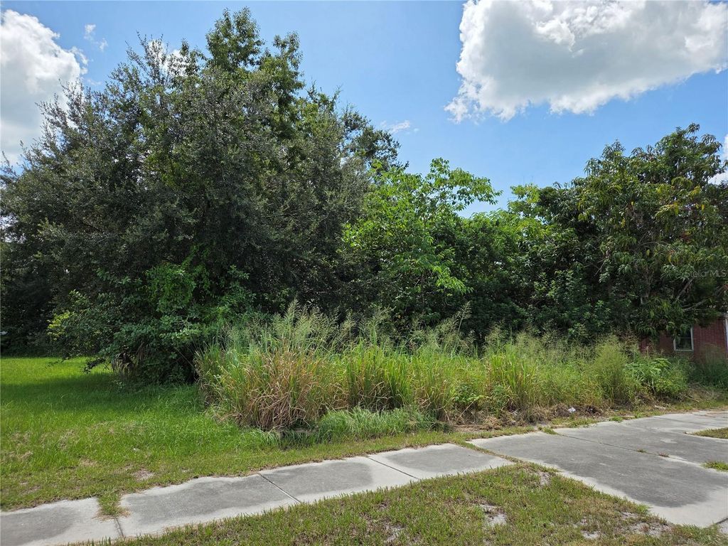 Photo of 505 S Lanier Ave, Fort Meade, FL 33841 (MLS # P4935613)