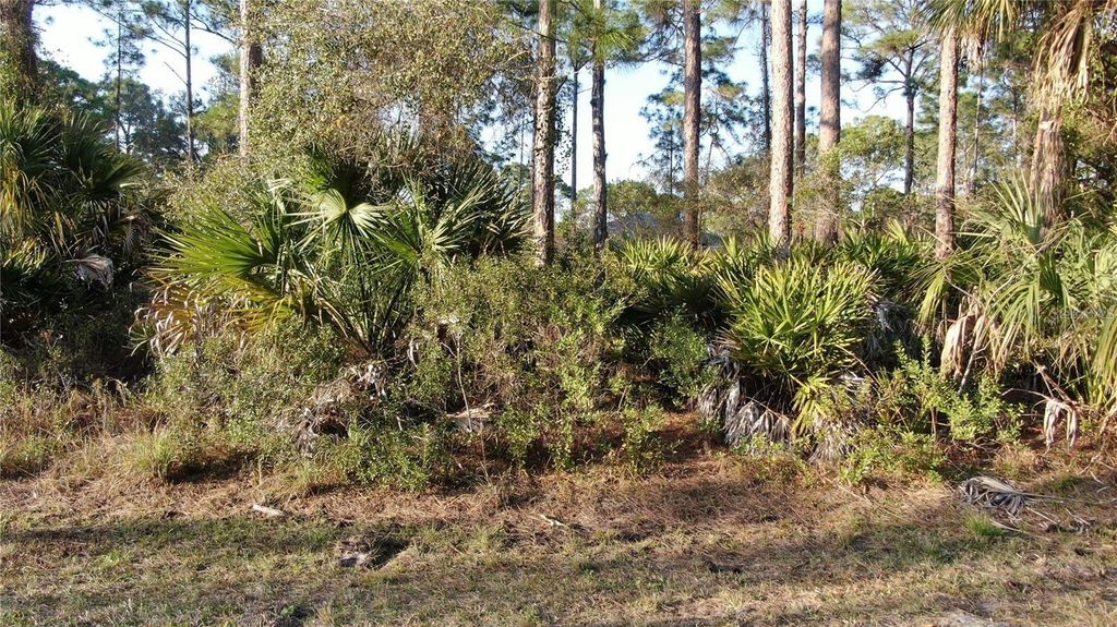 Photo of Trapp Street, North Port, FL 34291 (MLS # A4666348)