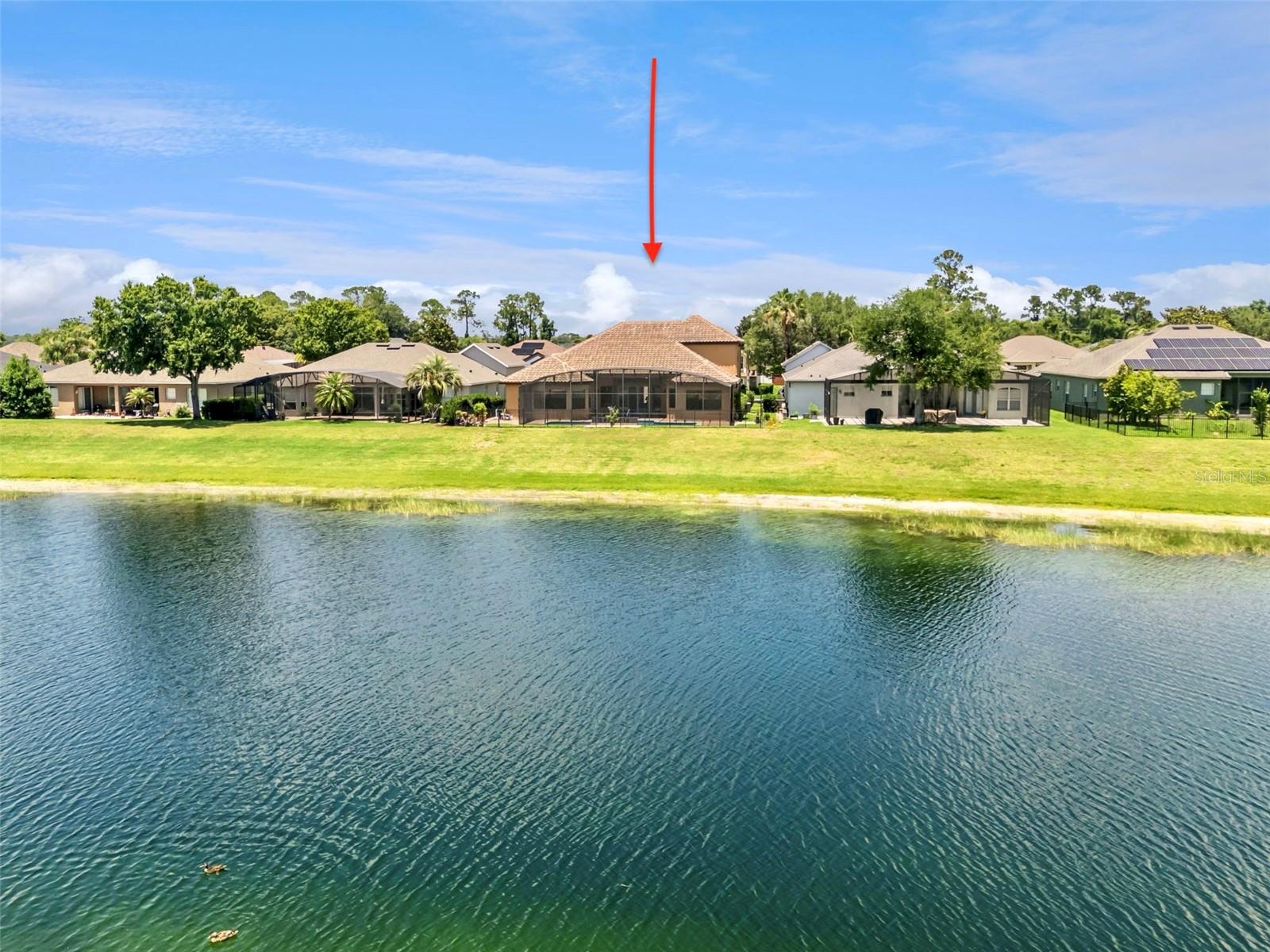 BUCKINGHAM ESTATES - Residential