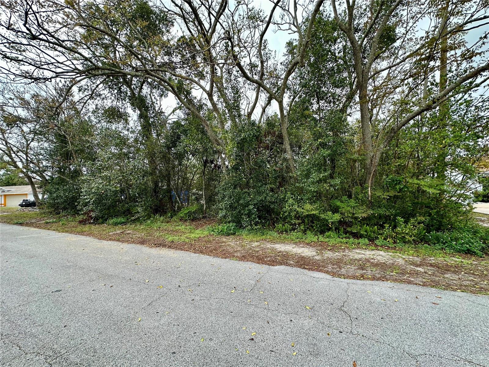 761 ARLENE DRIVE