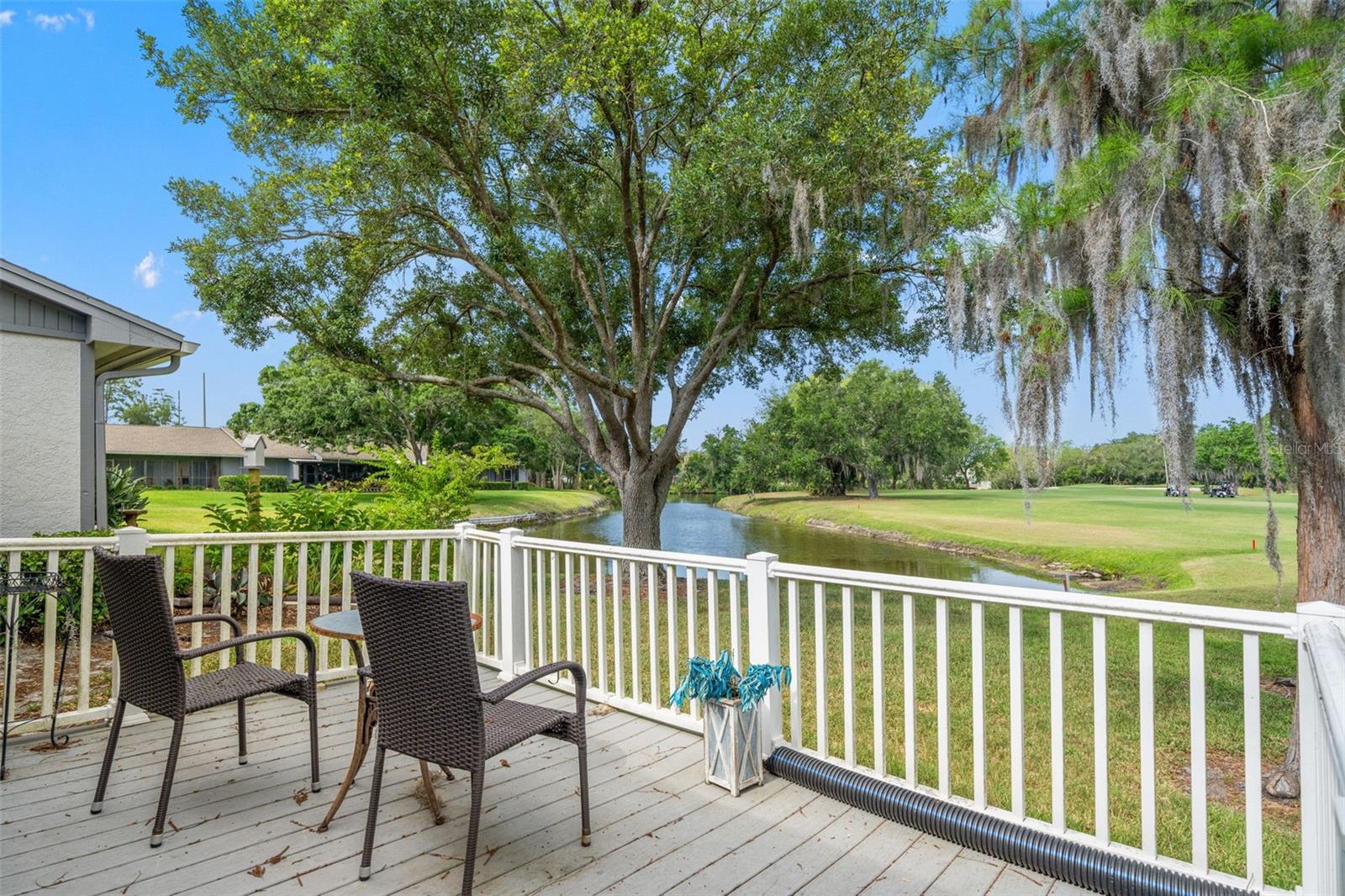 EAST LAKE WOODLANDS CLUSTER HOMES - Residential