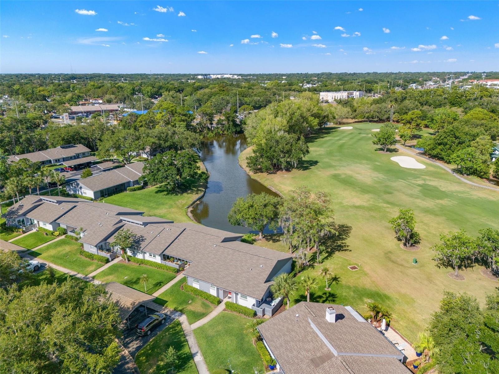 EAST LAKE WOODLANDS CLUSTER HOMES - Residential
