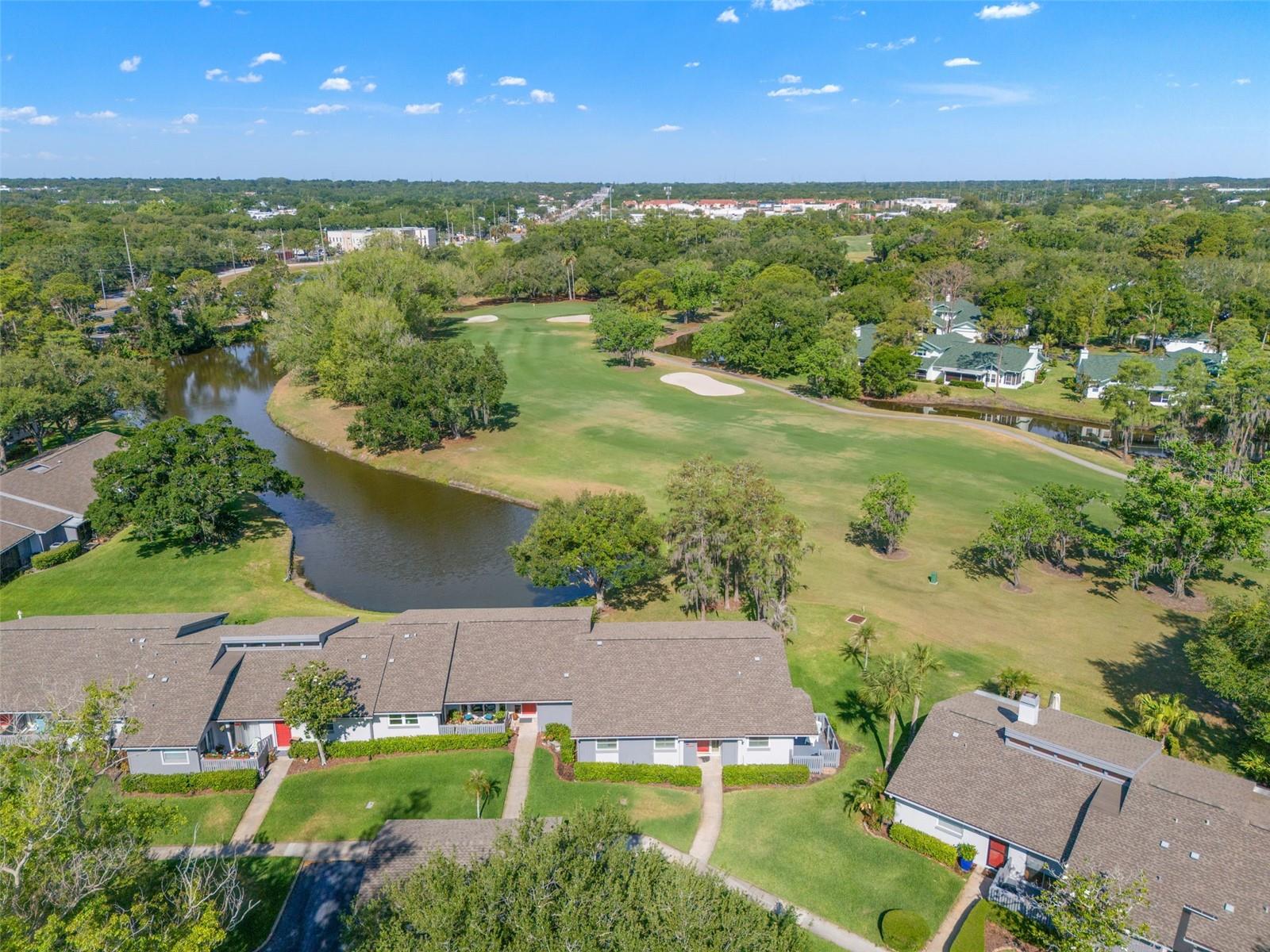EAST LAKE WOODLANDS CLUSTER HOMES - Residential