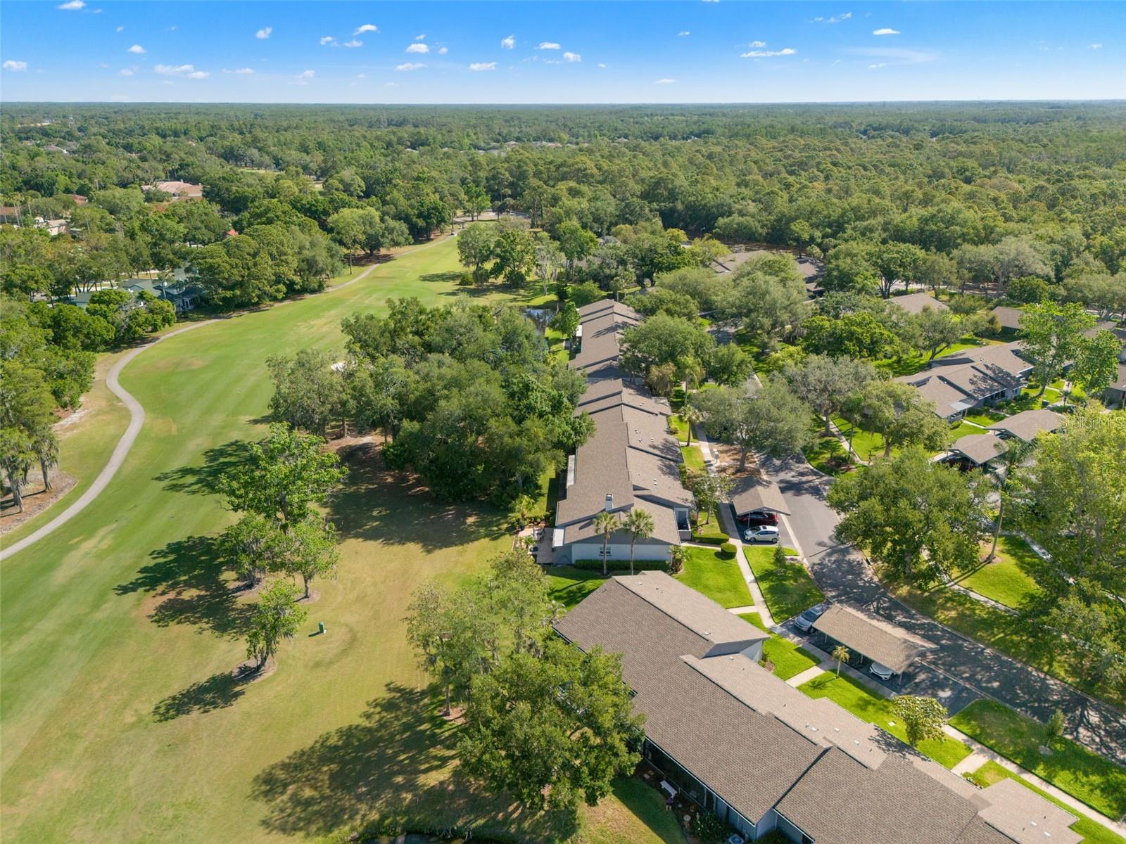 EAST LAKE WOODLANDS CLUSTER HOMES - Residential
