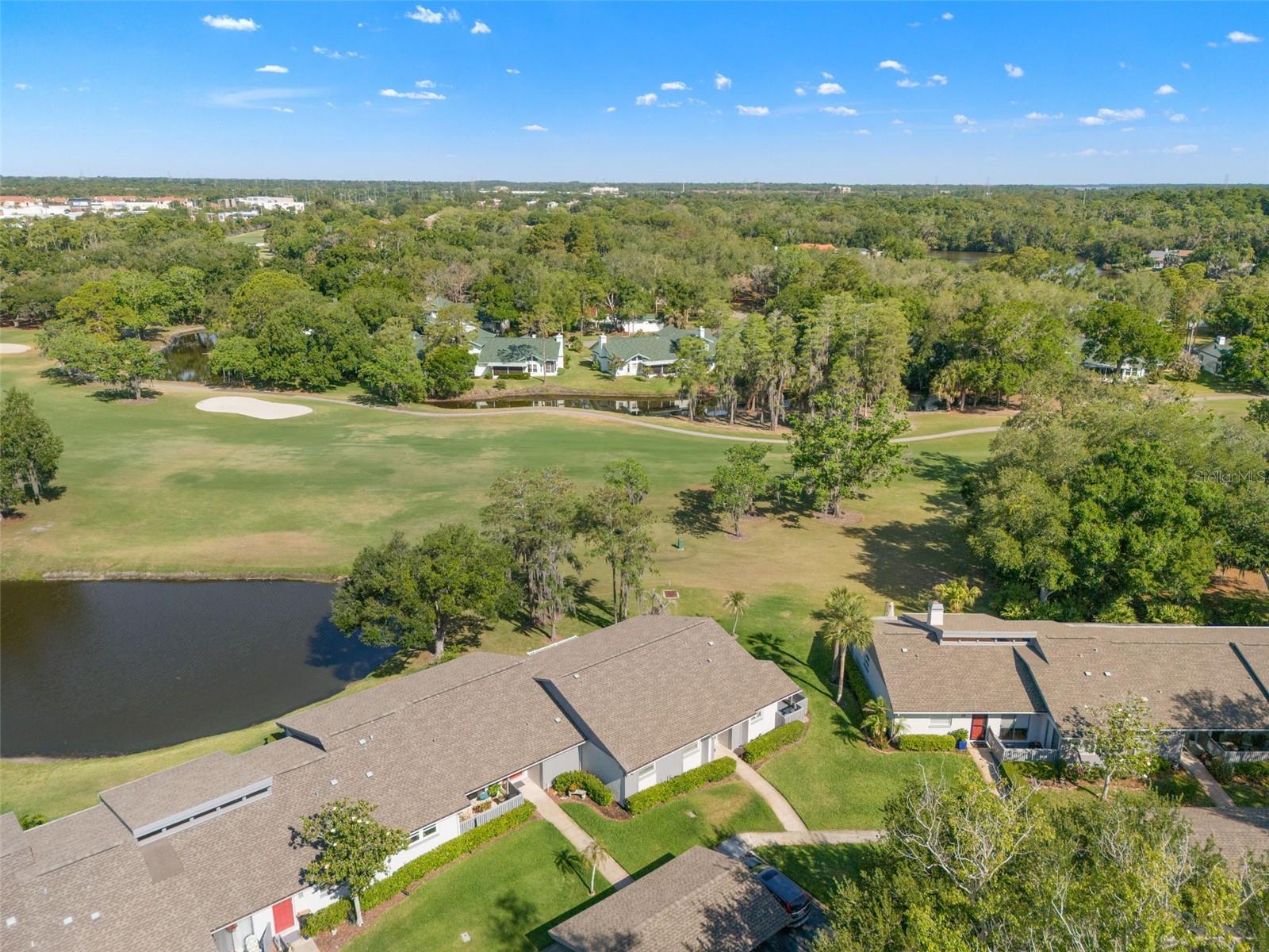 EAST LAKE WOODLANDS CLUSTER HOMES - Residential