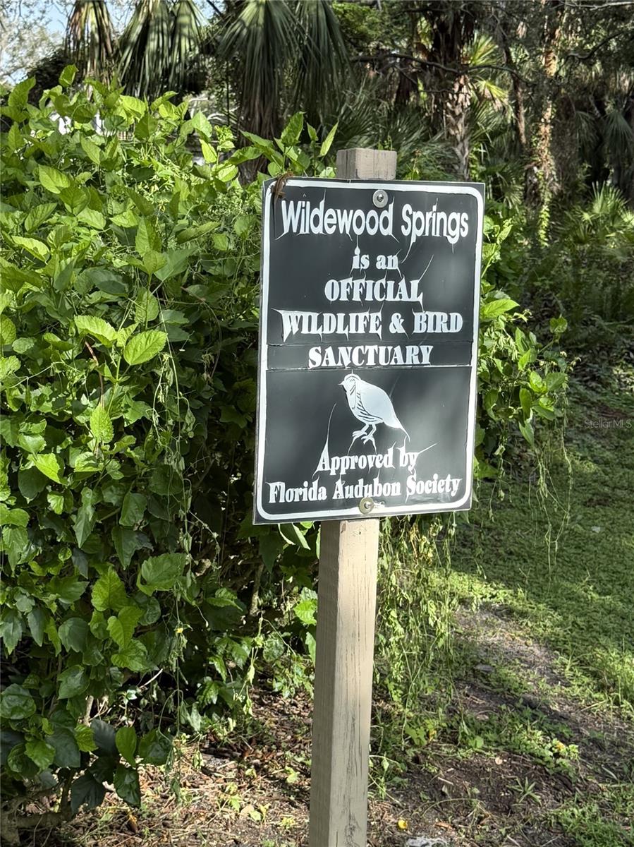 WILDEWOOD SPGS II-C - Residential