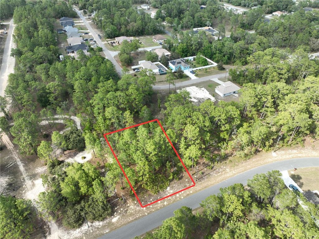 Photo of 1921 W Riley Drive, Dunnellon, FL 34434 (MLS # O6355875)