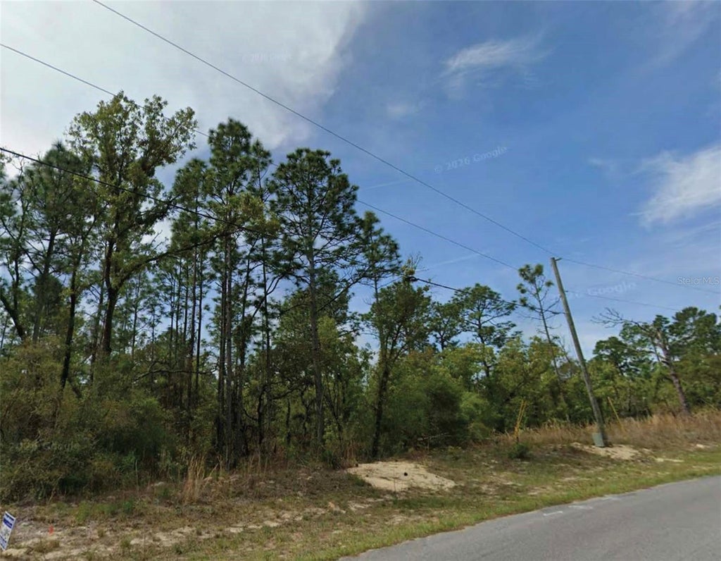 Photo of 6677 N Waterman Drive, Citrus Springs, FL 34434 (MLS # O6453387)