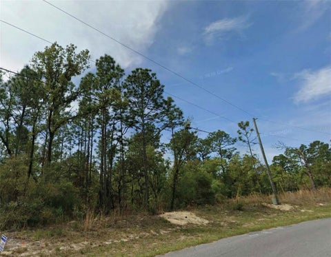 Photo of 6677 N Waterman Drive, Citrus Springs, FL 34434 (MLS # O6453387)