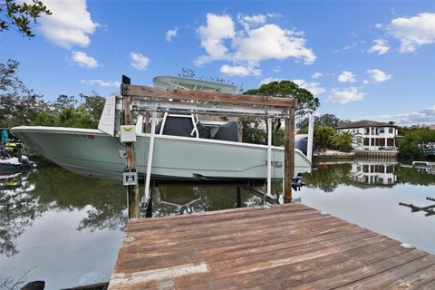 A home in TAMPA