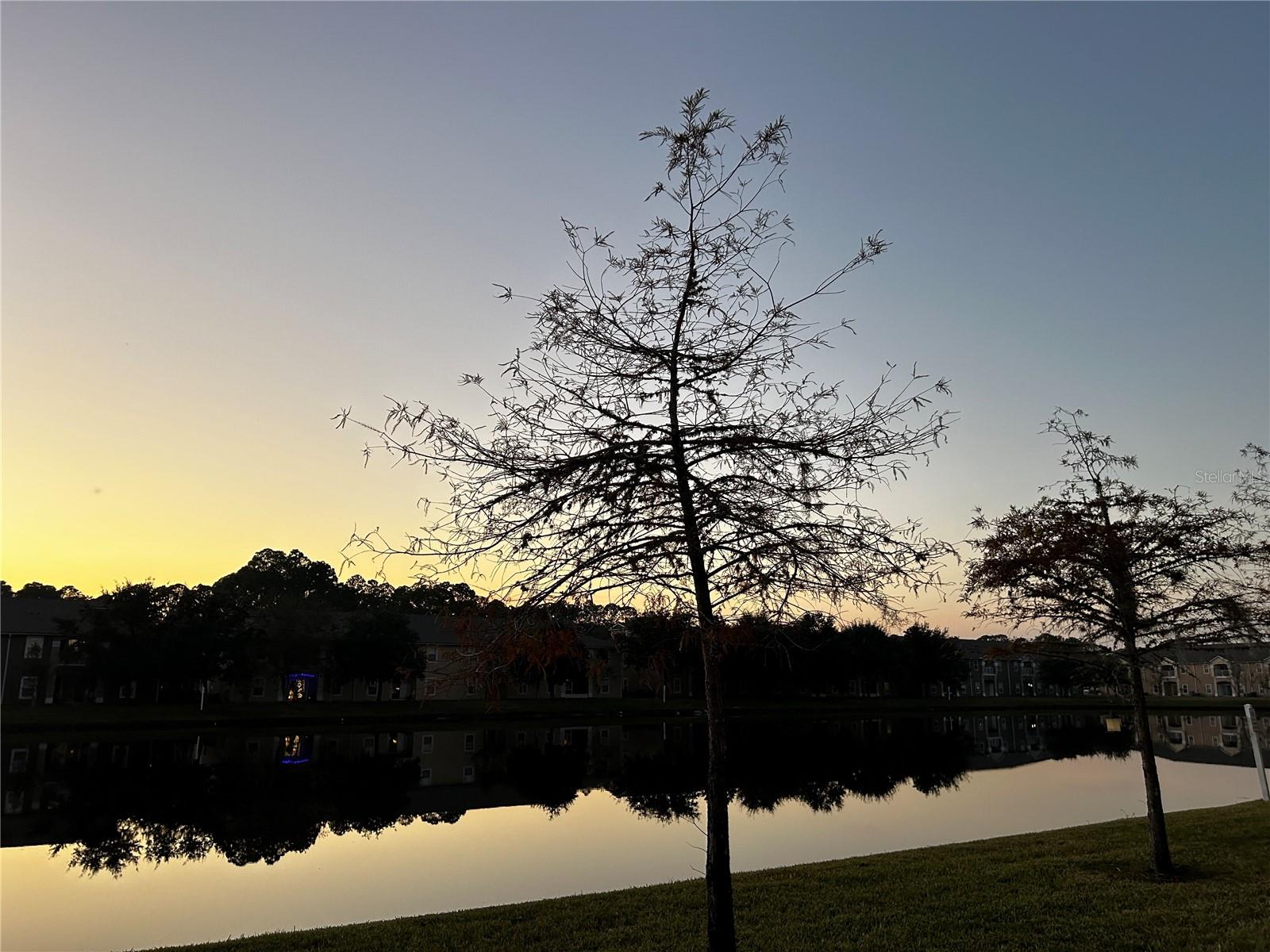 LOFTS/SEBASTIAN COVE II - Residential