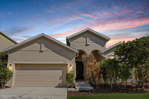 2283 SABASTIAN STREET MOUNT DORA FL 32757