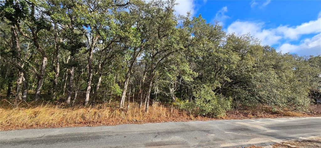 Photo of 4331 W Donali Court, Homosassa, FL 34446 (MLS # W7883095)