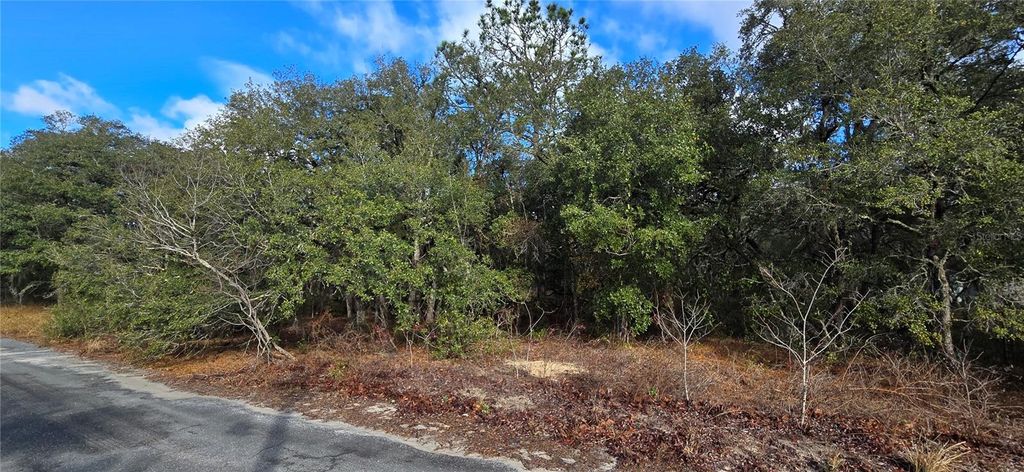 Photo of 4331 W Donali Court, Homosassa, FL 34446 (MLS # W7883095)