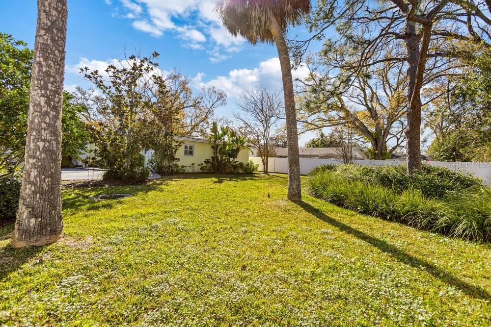 HESPERIDES MANOR - Land