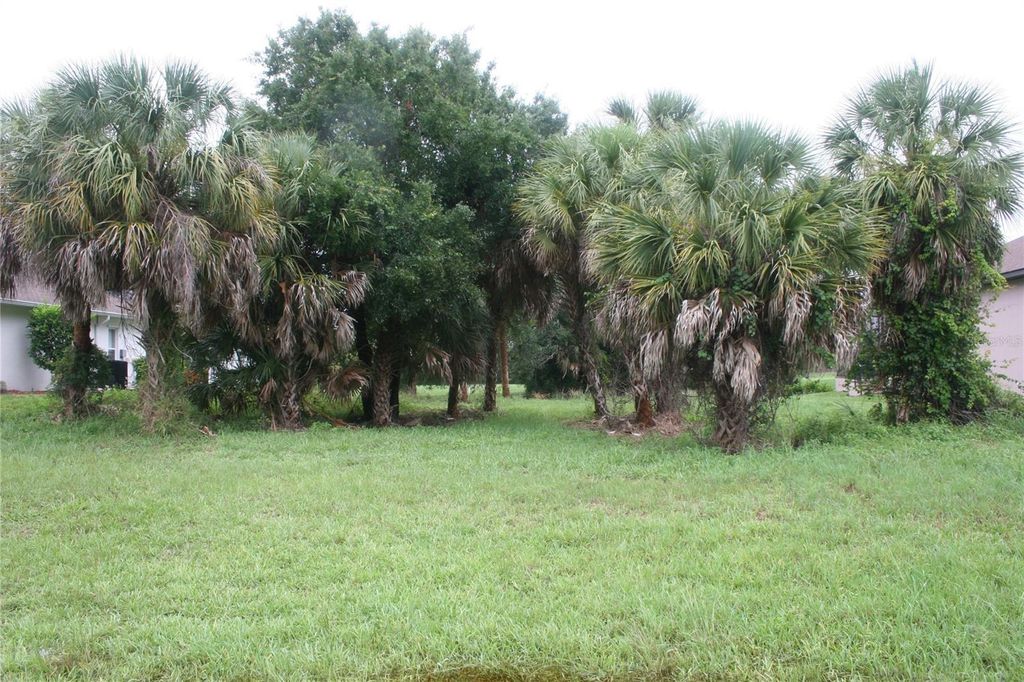 Photo of 176 Marker Road, Rotonda West, FL 33947 (MLS # O6288355)